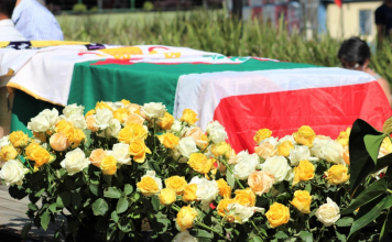 Beatificación del Siervo de Dios Matheus Van Herkhuizen